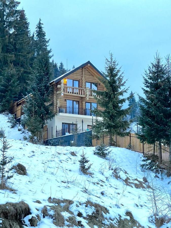 Chalet Du Lac Colibiţa Esterno foto
